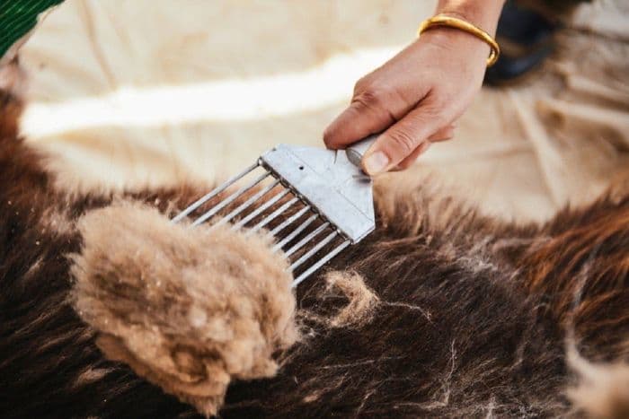 Хөвсгөл, Архангай аймагт нэг килограмм ноолуур 208-212 мянган төгрөгийн үнэтэй байна