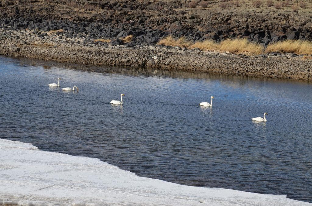 Улаанбаатар хотод өмнөх өдрөөс 11 градусаар сэрүүсэж +10...+12 градус дулаан байна