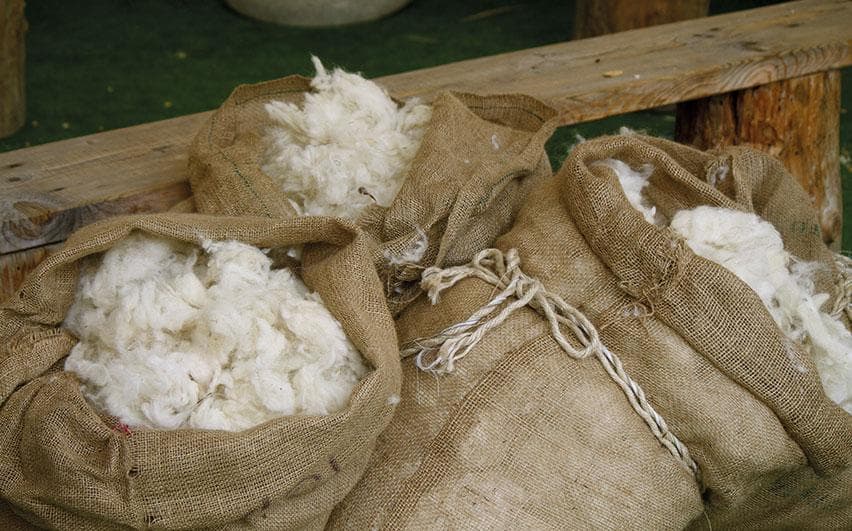 Өнөөдрийн байдлаар ноолуурын ханшийг танилцуулж байна