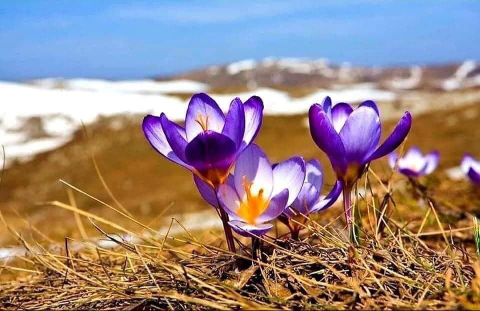Ойрын өдрүүдэд ихэнх нутгаар хуурайшилт нэмэгдэж байгаа тул болзошгүй гал түймрийн аюулаас анхааруулж байна.